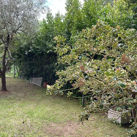 Mengoni House 아파트