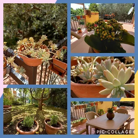 Mengoni House